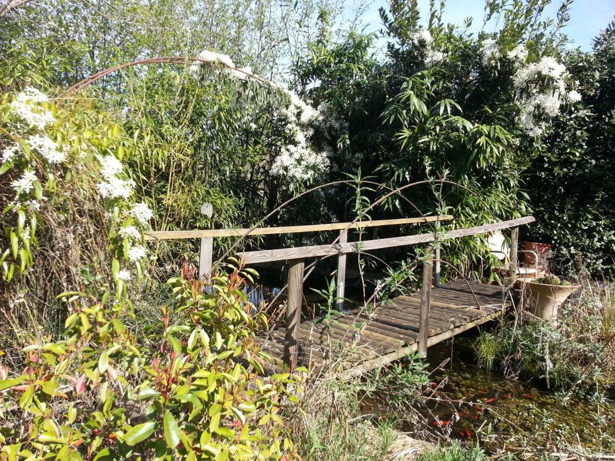 لاتيزي B&B Palu المظهر الخارجي الصورة